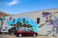 201980906-CrushWalls-DenverCO-PixMeyers-27