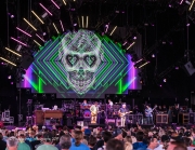 Dead-Co-24