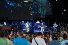 Dead-Co-5