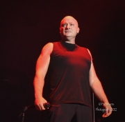 Disturbed-23