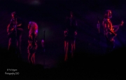 20200221-LittleBigTown-Murattheatre-IndianapolisIN-PixMeyers-19