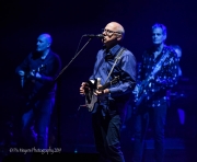 20190827-MarkKnopfler-MuratTheatre-IndianapolisIN-PixMeyers-15