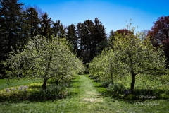 Newfields-Spring-2021-26
