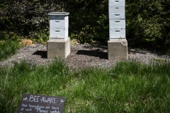 Newfields-Spring-2021-27
