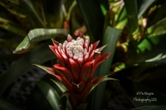 Newfields-Spring-2021-48