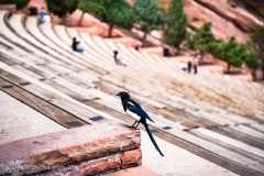 Red-Rocks-32