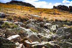Rocky-Mountain-National-Park-42