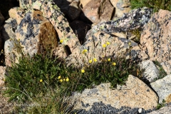 Rocky-Mountain-National-Park-44