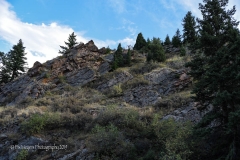 Rocky-Mountain-National-Park-79
