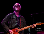 Steve-Earle-The-Dukes-30
